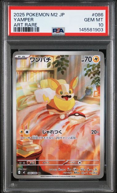 Pokémon TCG - Yamper 99 - PSA 10