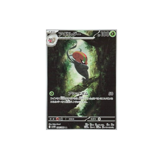 Accelgor 094