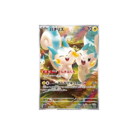 Pachirisu 084
