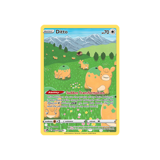 Ditto GG22 NM