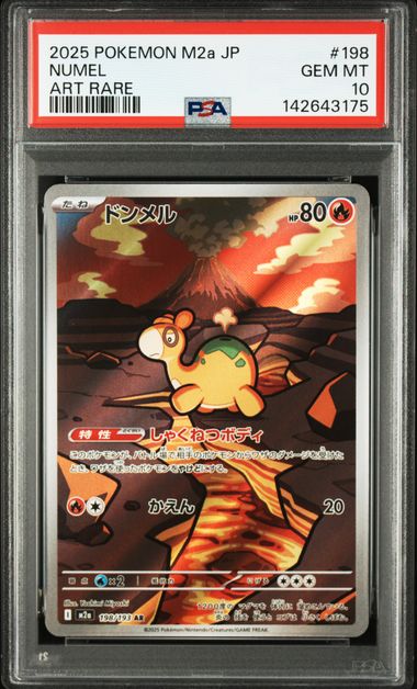 Pokémon TCG - Numel 198 - PSA 10